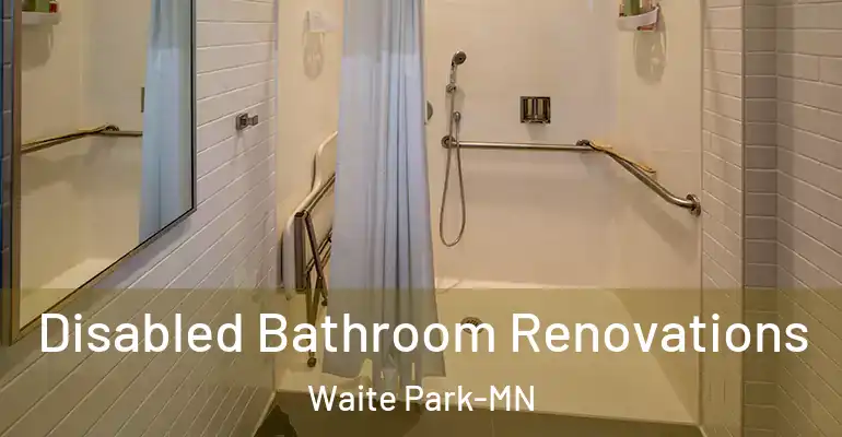 inner Bathroom imggen Disabled Bathroom Renovations Waite Park-MN
