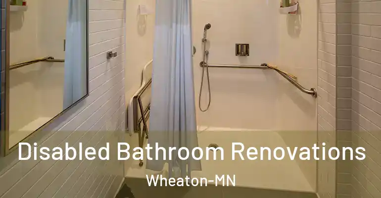 inner Bathroom imggen Disabled Bathroom Renovations Wheaton-MN