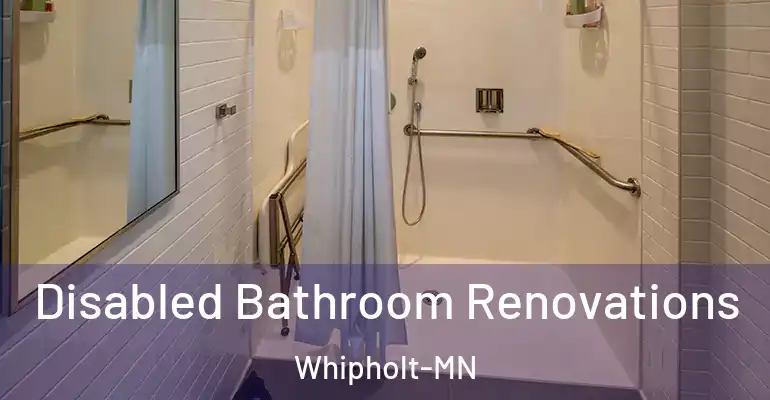 inner Bathroom imggen Disabled Bathroom Renovations Whipholt-MN