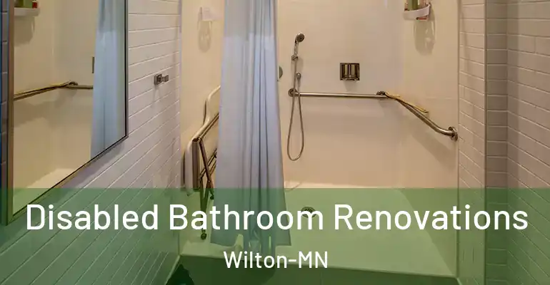 inner Bathroom imggen Disabled Bathroom Renovations Wilton-MN