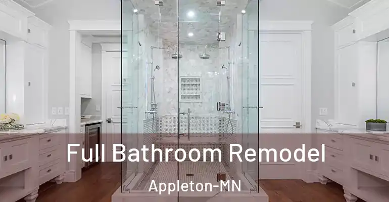 inner Bathroom imggen Full Bathroom Remodel Appleton-MN
