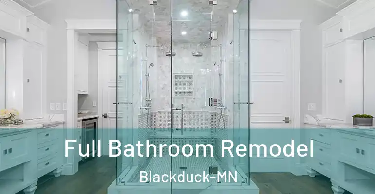 inner Bathroom imggen Full Bathroom Remodel Blackduck-MN