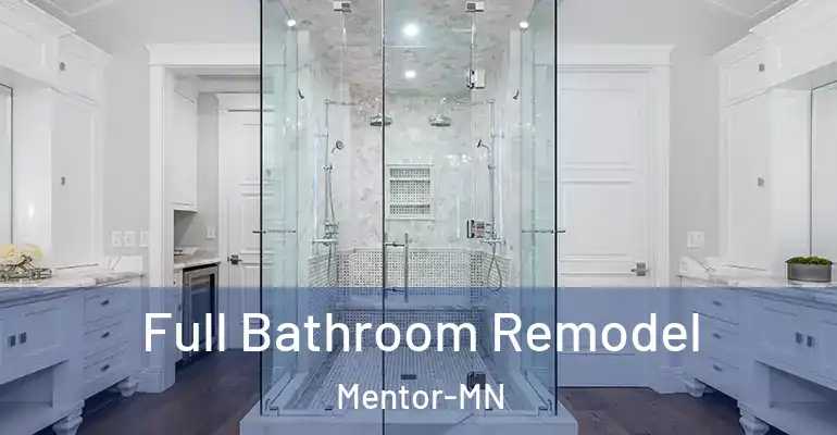 inner Bathroom imggen Full Bathroom Remodel Mentor-MN