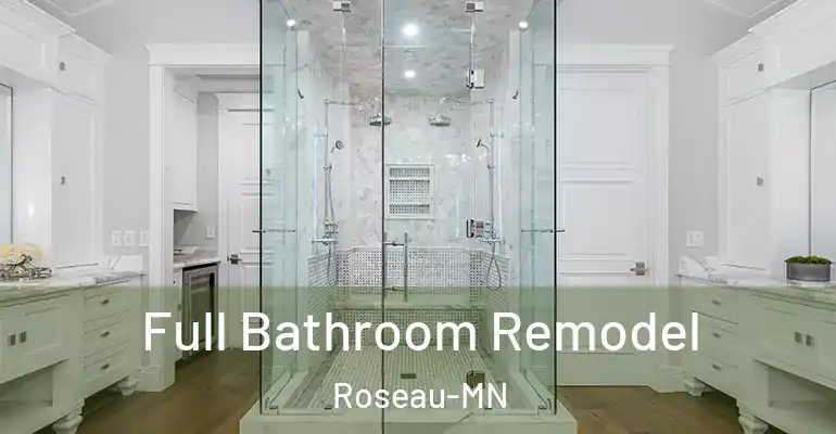 inner Bathroom imggen Full Bathroom Remodel Roseau-MN