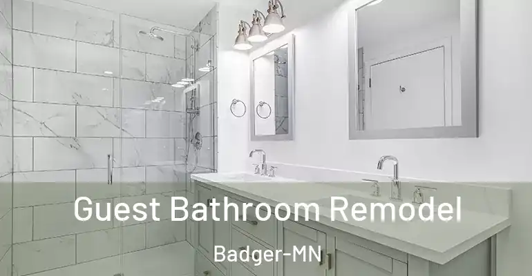 inner Bathroom imggen Guest Bathroom Remodel Badger-MN