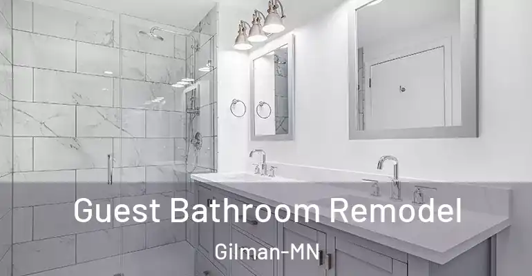 inner Bathroom imggen Guest Bathroom Remodel Gilman-MN