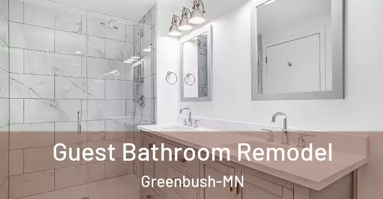 inner Bathroom imggen Guest Bathroom Remodel Greenbush-MN