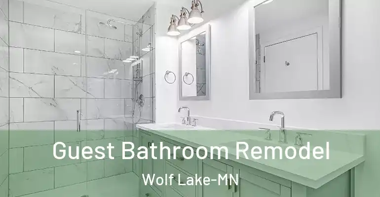 inner Bathroom imggen Guest Bathroom Remodel Wolf Lake-MN
