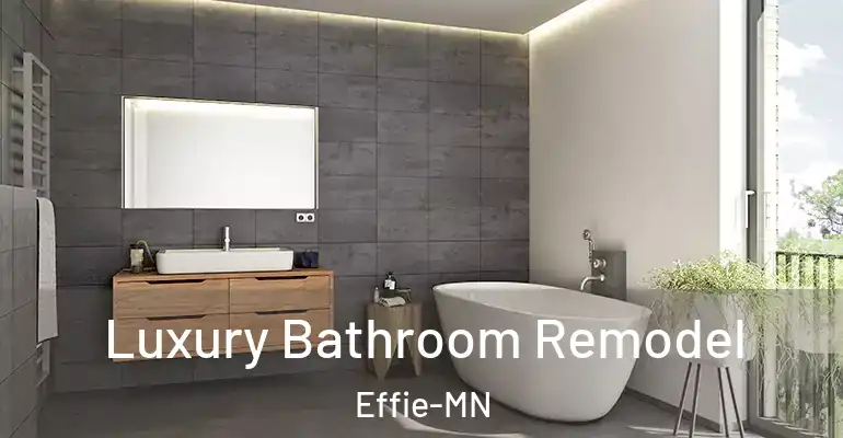 inner Bathroom imggen Luxury Bathroom Remodel Effie-MN