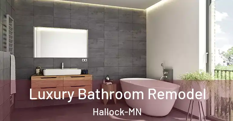 inner Bathroom imggen Luxury Bathroom Remodel Hallock-MN