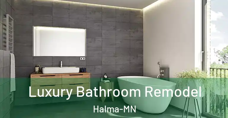 inner Bathroom imggen Luxury Bathroom Remodel Halma-MN