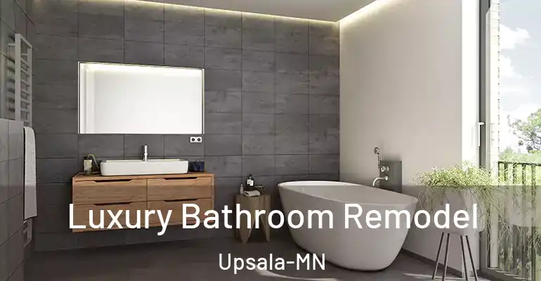 inner Bathroom imggen Luxury Bathroom Remodel Upsala-MN