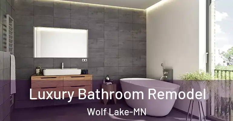 inner Bathroom imggen Luxury Bathroom Remodel Wolf Lake-MN