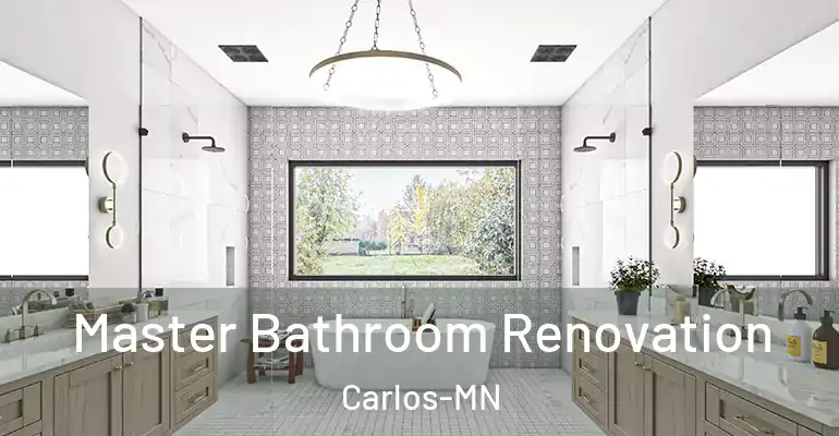 inner Bathroom imggen Master Bathroom Renovation Carlos-MN