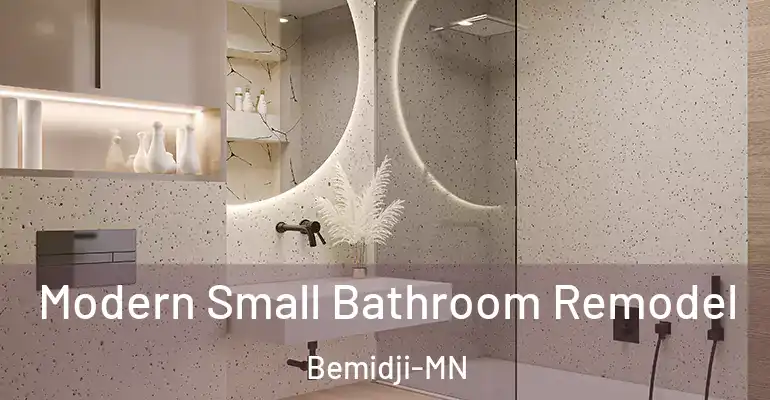 inner Bathroom imggen Modern Small Bathroom Remodel Bemidji-MN