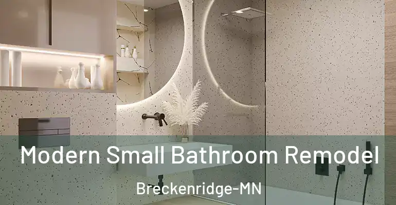 inner Bathroom imggen Modern Small Bathroom Remodel Breckenridge-MN