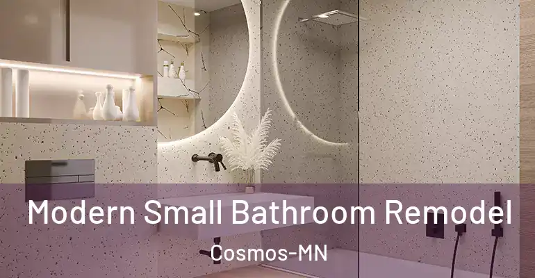 inner Bathroom imggen Modern Small Bathroom Remodel Cosmos-MN