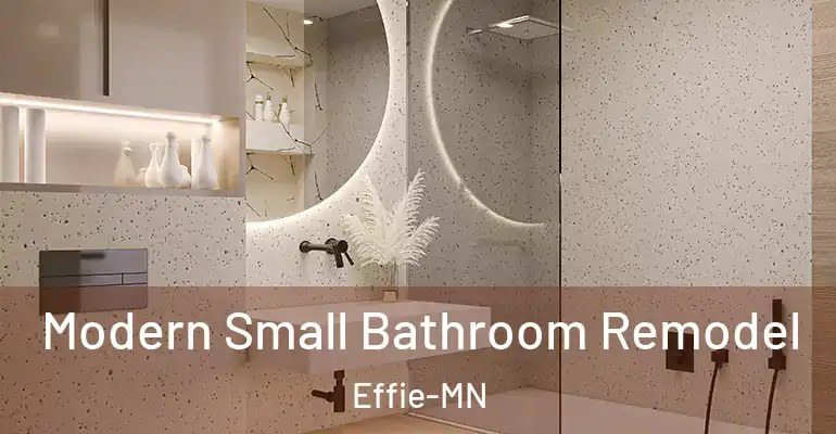 inner Bathroom imggen Modern Small Bathroom Remodel Effie-MN