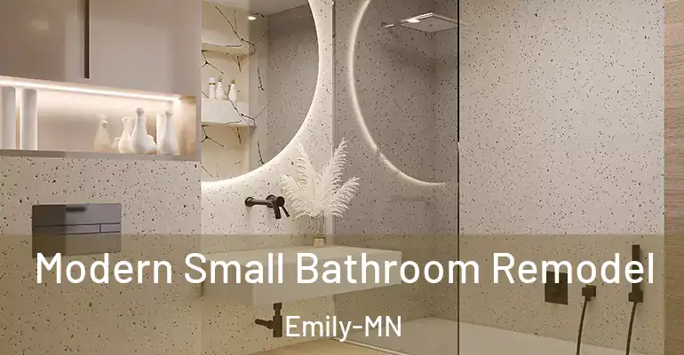 inner Bathroom imggen Modern Small Bathroom Remodel Emily-MN