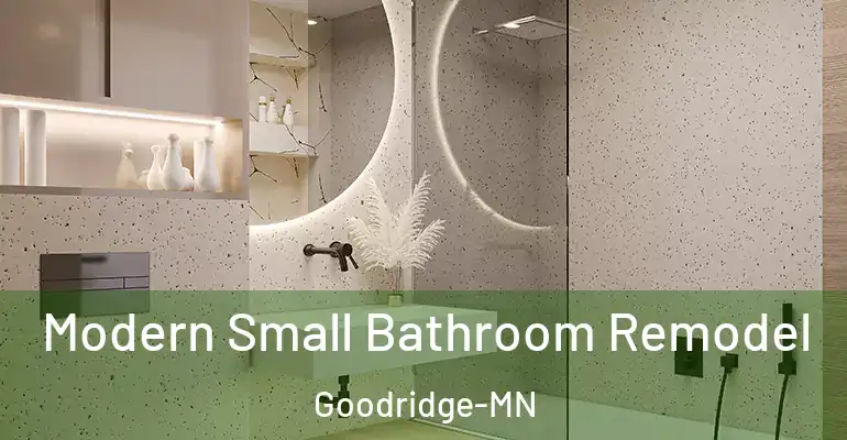 inner Bathroom imggen Modern Small Bathroom Remodel Goodridge-MN
