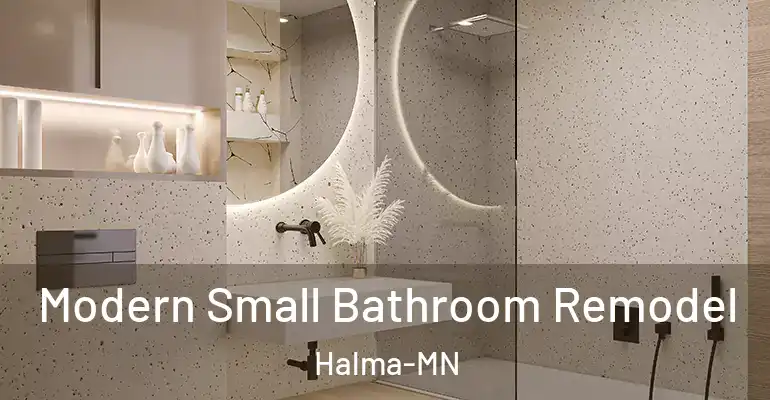 inner Bathroom imggen Modern Small Bathroom Remodel Halma-MN
