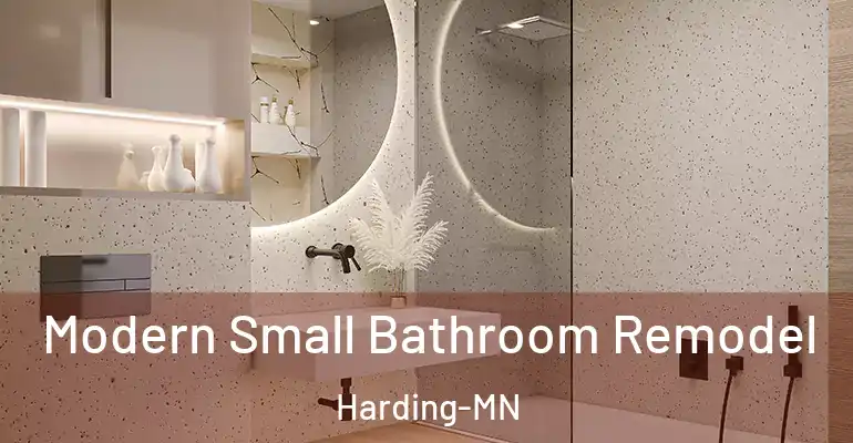 inner Bathroom imggen Modern Small Bathroom Remodel Harding-MN