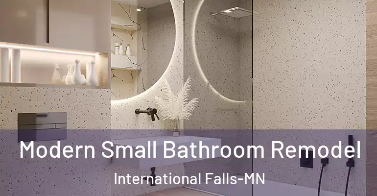 inner Bathroom imggen Modern Small Bathroom Remodel International Falls-MN