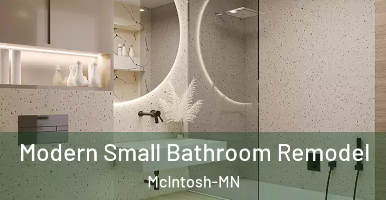 inner Bathroom imggen Modern Small Bathroom Remodel McIntosh-MN