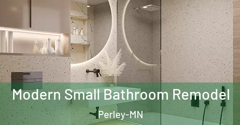 inner Bathroom imggen Modern Small Bathroom Remodel Perley-MN