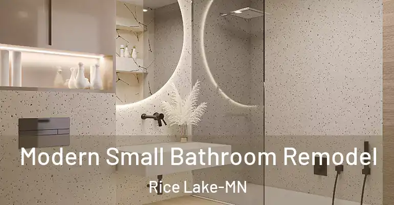 inner Bathroom imggen Modern Small Bathroom Remodel Rice Lake-MN