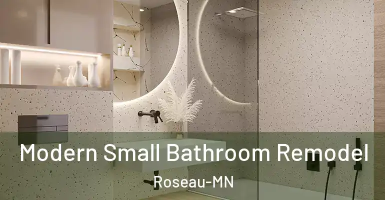 inner Bathroom imggen Modern Small Bathroom Remodel Roseau-MN