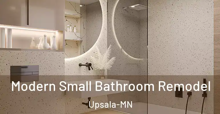 inner Bathroom imggen Modern Small Bathroom Remodel Upsala-MN