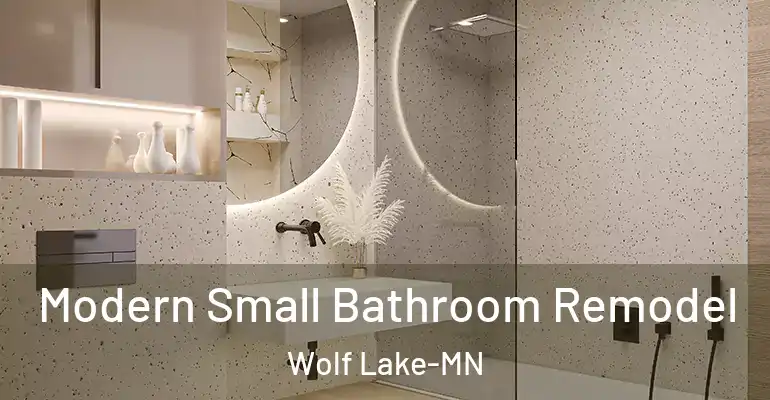 inner Bathroom imggen Modern Small Bathroom Remodel Wolf Lake-MN