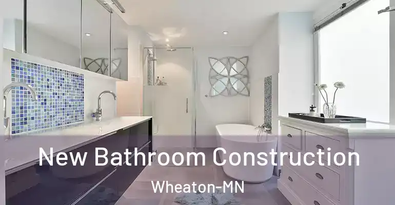 inner Bathroom imggen New Bathroom Construction Wheaton-MN