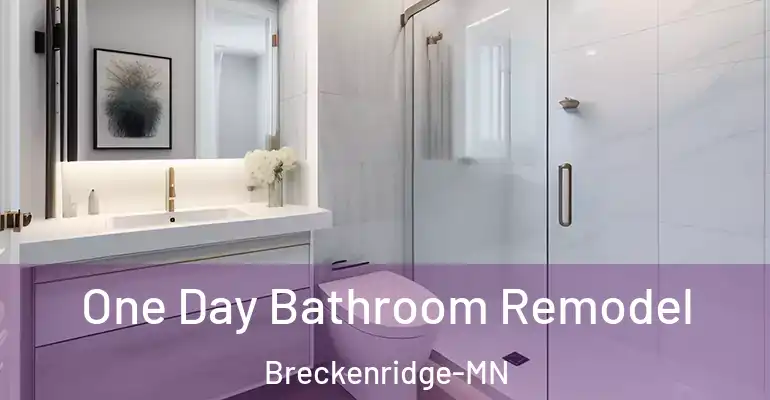 inner Bathroom imggen One Day Bathroom Remodel Breckenridge-MN