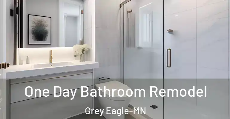 inner Bathroom imggen One Day Bathroom Remodel Grey Eagle-MN
