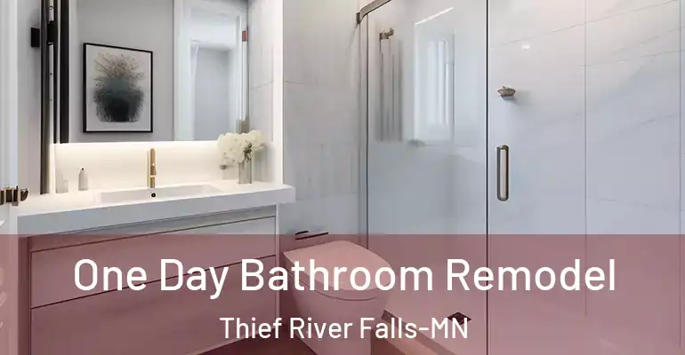 inner Bathroom imggen One Day Bathroom Remodel Thief River Falls-MN