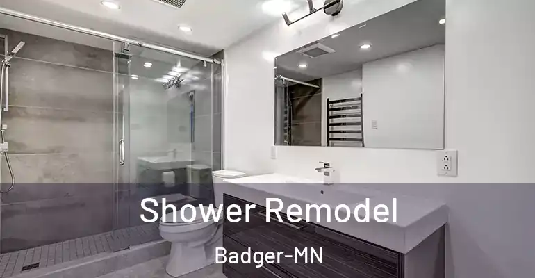 inner Bathroom imggen Shower Remodel Badger-MN