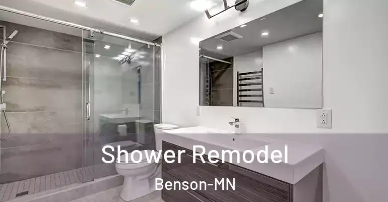 inner Bathroom imggen Shower Remodel Benson-MN