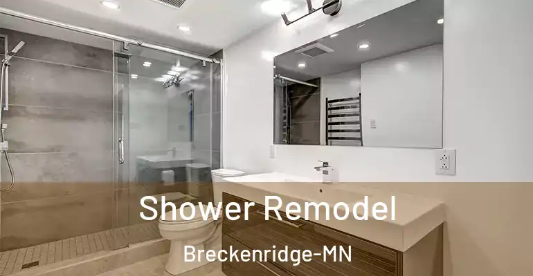 inner Bathroom imggen Shower Remodel Breckenridge-MN