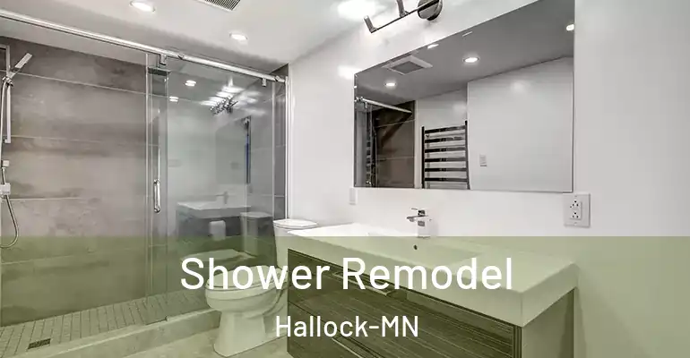 inner Bathroom imggen Shower Remodel Hallock-MN