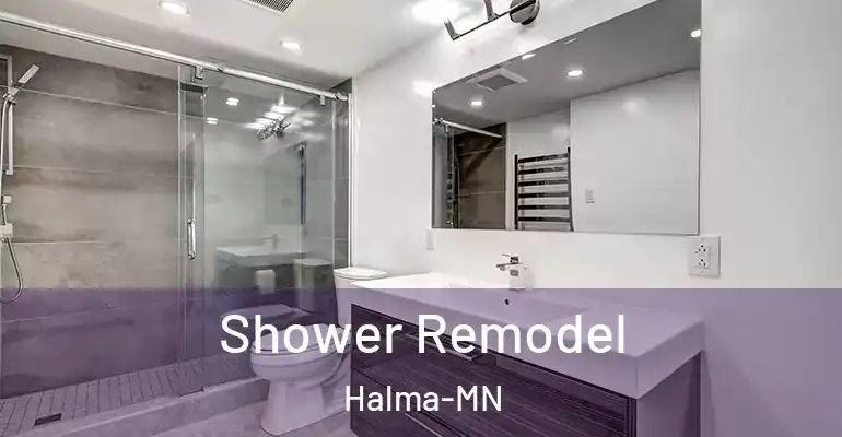 inner Bathroom imggen Shower Remodel Halma-MN