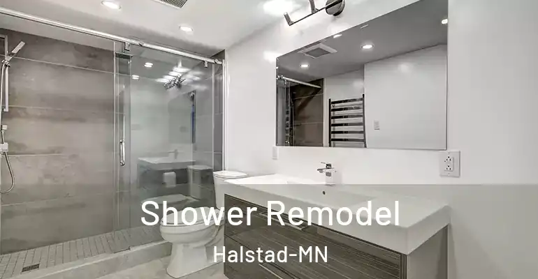 inner Bathroom imggen Shower Remodel Halstad-MN