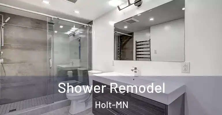 inner Bathroom imggen Shower Remodel Holt-MN