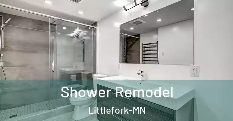inner Bathroom imggen Shower Remodel Littlefork-MN
