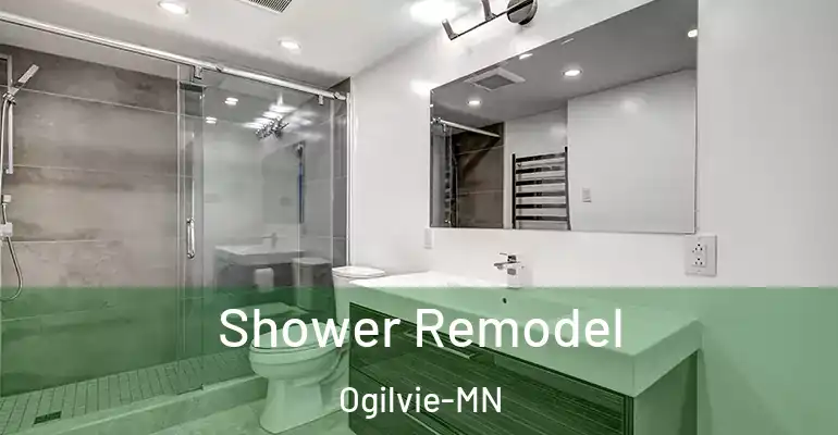 inner Bathroom imggen Shower Remodel Ogilvie-MN