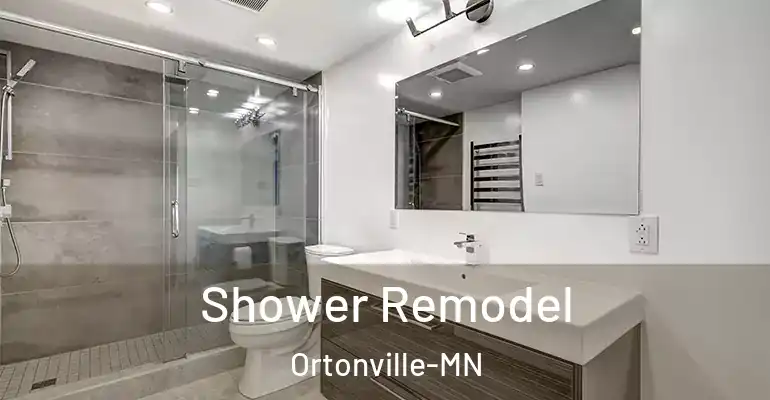 inner Bathroom imggen Shower Remodel Ortonville-MN