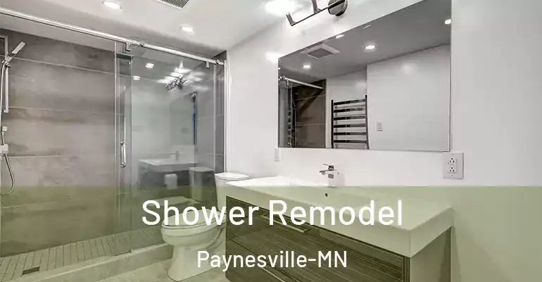 inner Bathroom imggen Shower Remodel Paynesville-MN