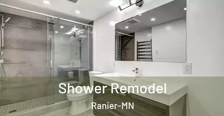 inner Bathroom imggen Shower Remodel Ranier-MN