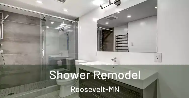 inner Bathroom imggen Shower Remodel Roosevelt-MN
